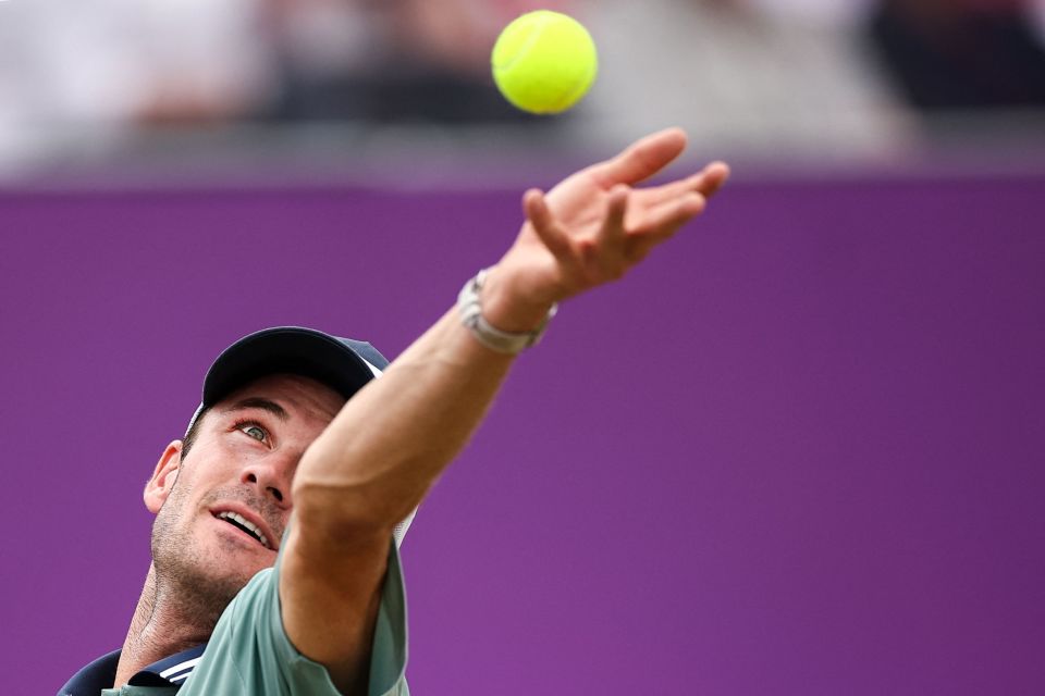 脏辫作为一 脏辫作为一